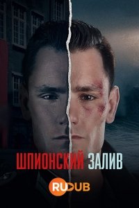 Шпионская бухта